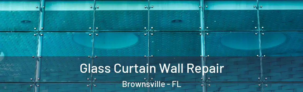  Glass Curtain Wall Repair Brownsville - FL