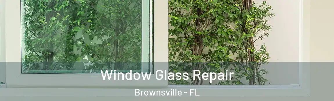 Window Glass Repair Brownsville - FL