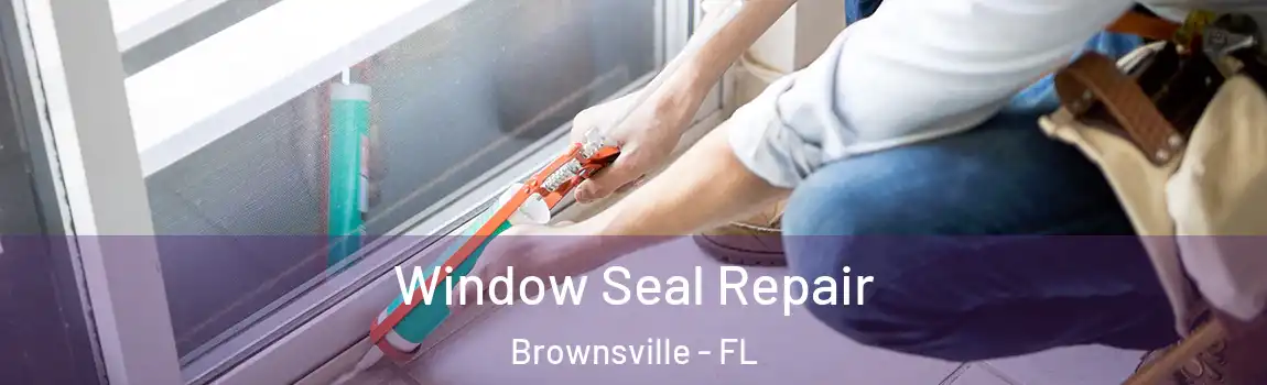 Window Seal Repair Brownsville - FL
